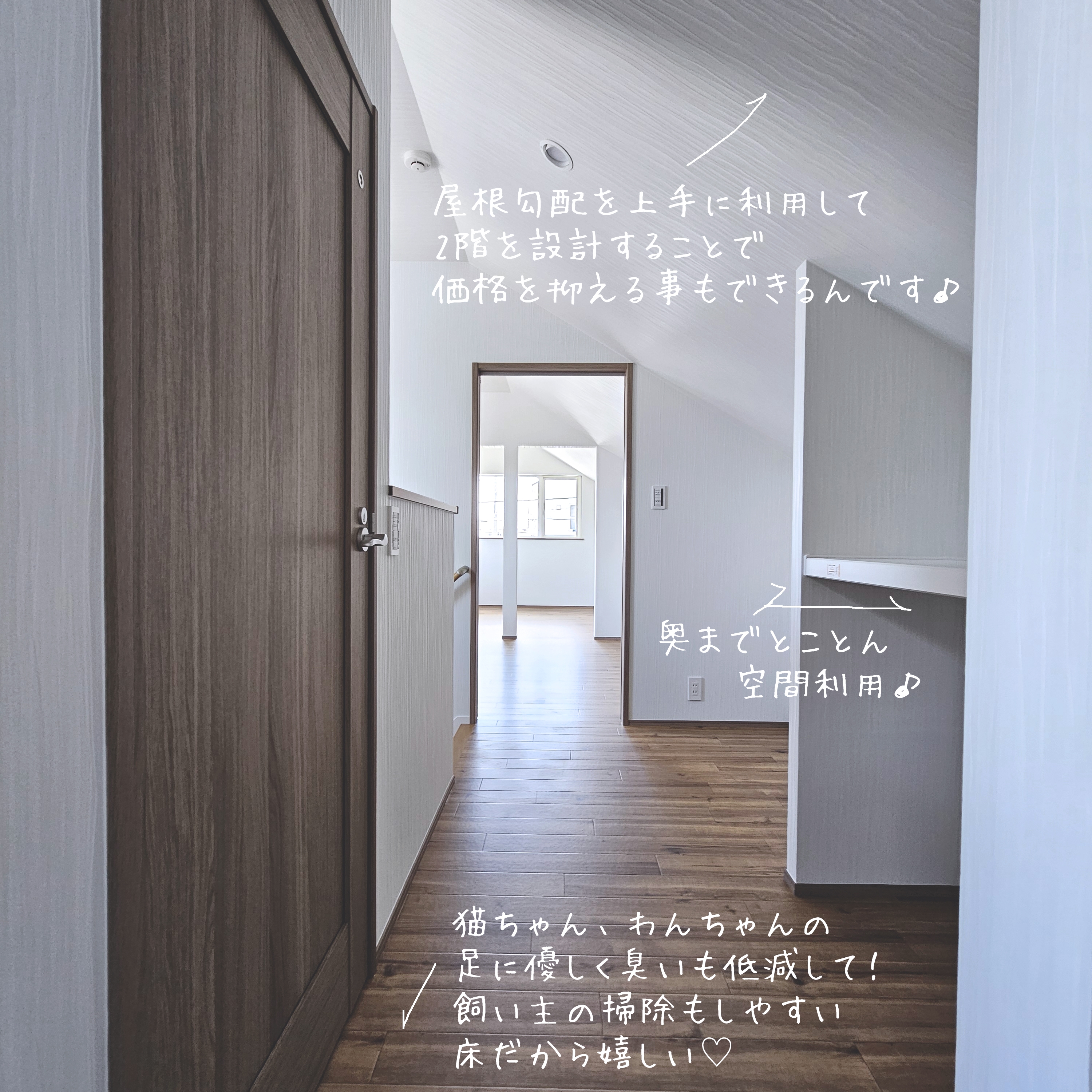 Instagram202407092kai のコピー.jpg